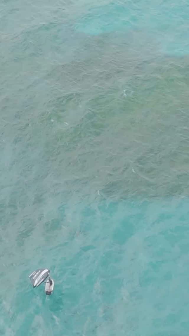 Post 7 by Erika Reineke on Instagram (video)