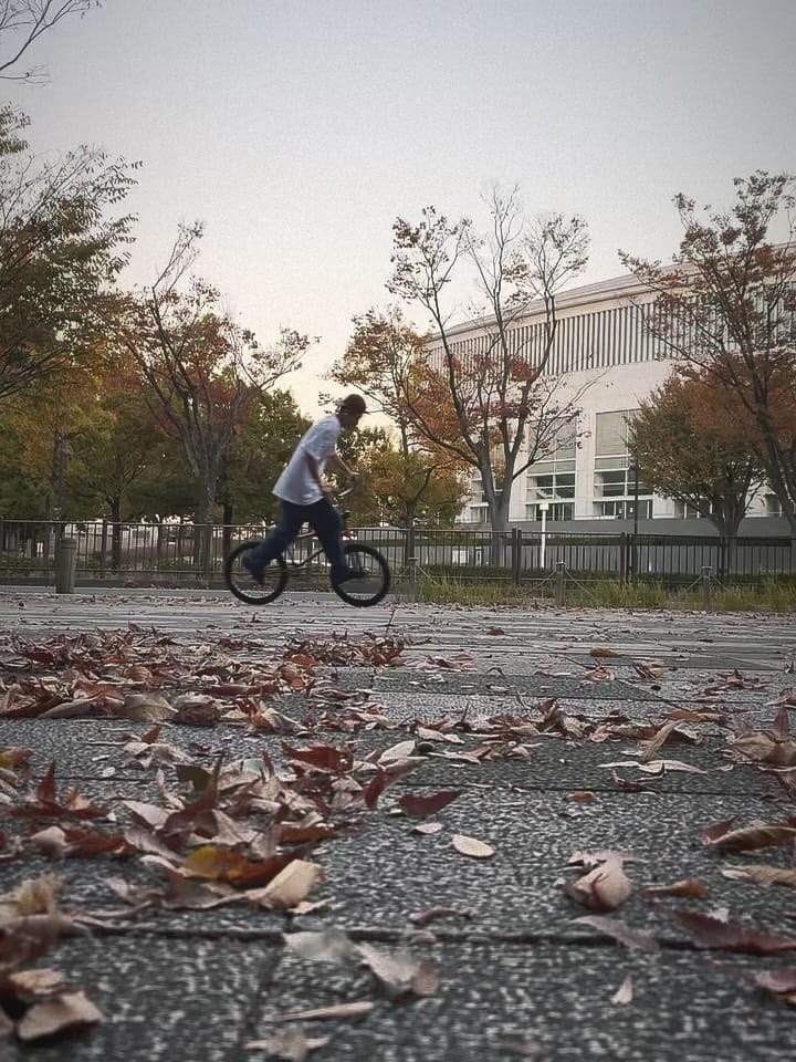 Post 2 by Yu Shoji on Instagram (carousel)