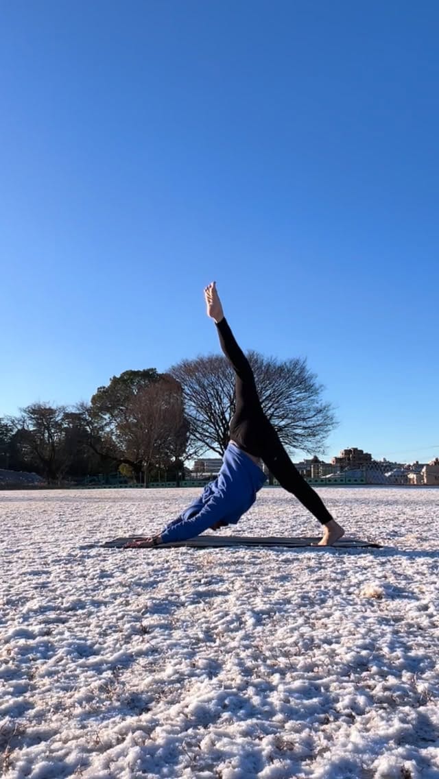 Post 4 by Takeshi Ogino on Instagram (video)