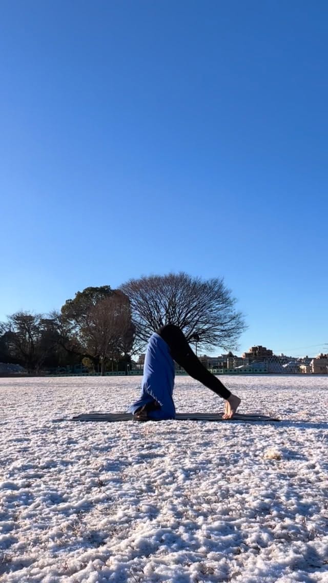 Post 3 by Takeshi Ogino on Instagram (video)