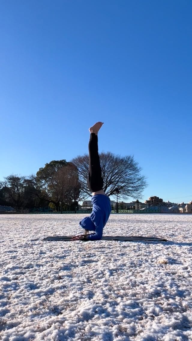Post 6 by Takeshi Ogino on Instagram (video)