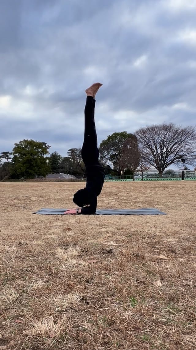 Post 8 by Takeshi Ogino on Instagram (video)