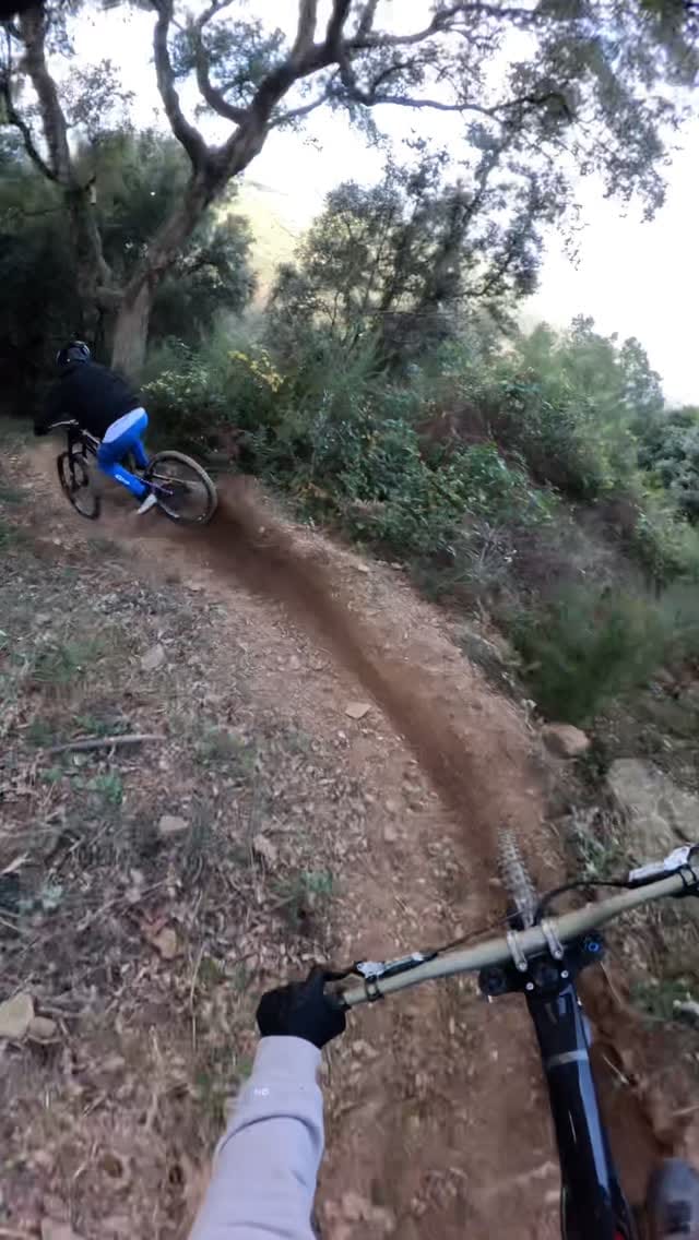 Post 1 by LISANDRU BERTINI on Instagram (video)