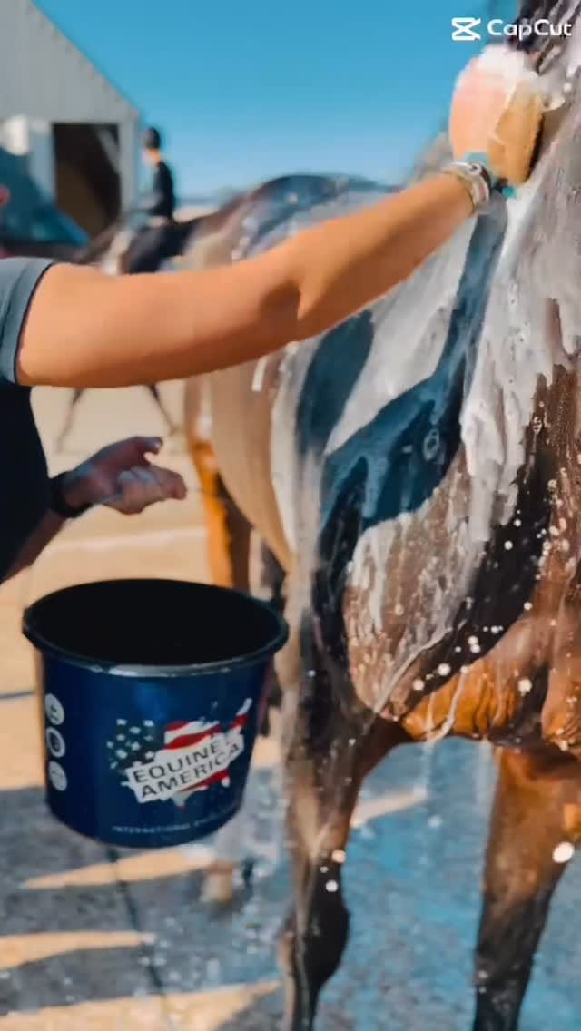 Post 7 by Amy Inglis on Instagram (video)