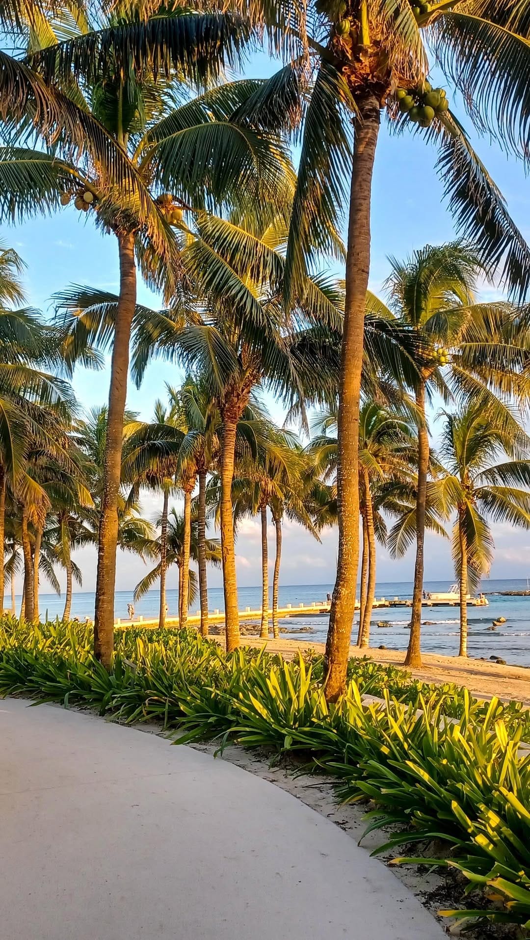 Post 2 by Magalie Singh - Luxury Couple Retreats & Private Therapy on Instagram (video)