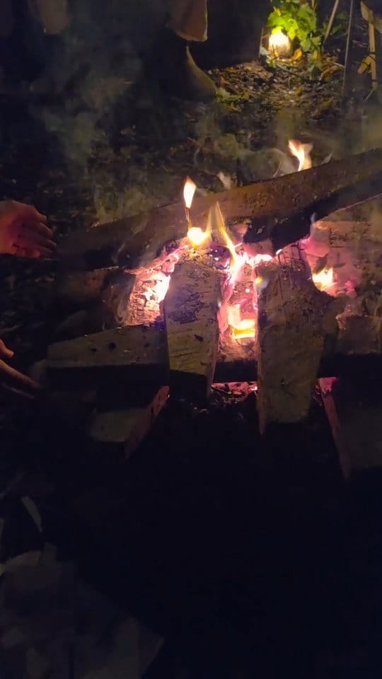 Post 3 by Eleanor Harvey on Instagram (video)