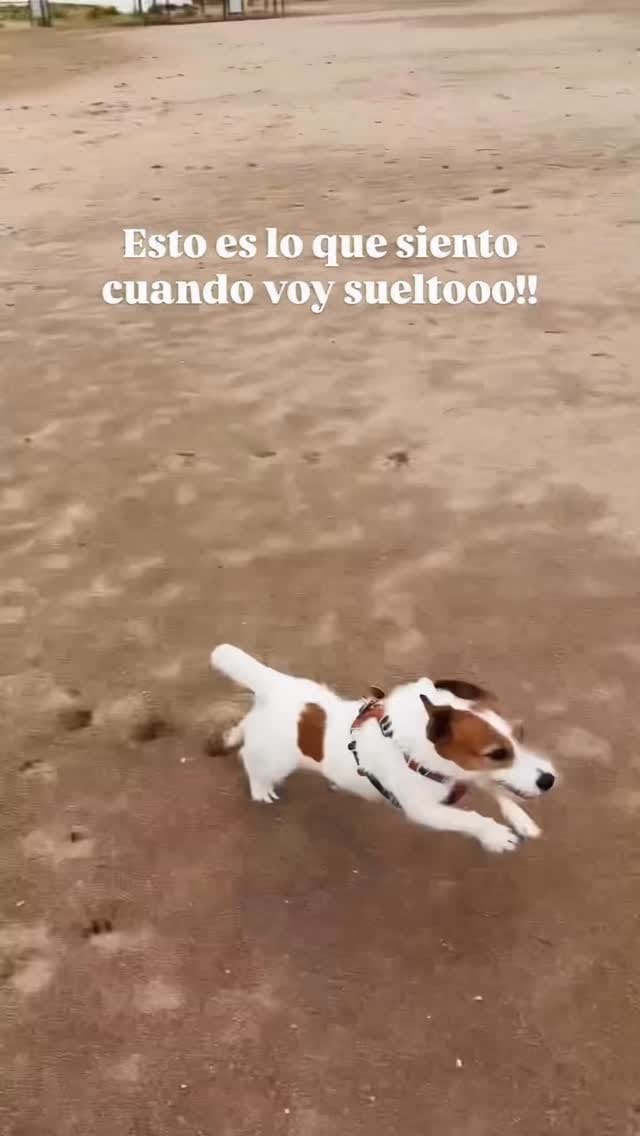 Post 1 by Eddie on Instagram (video)