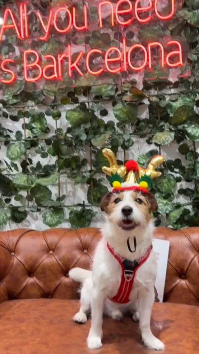 Post 6 by Eddie on Instagram (video)