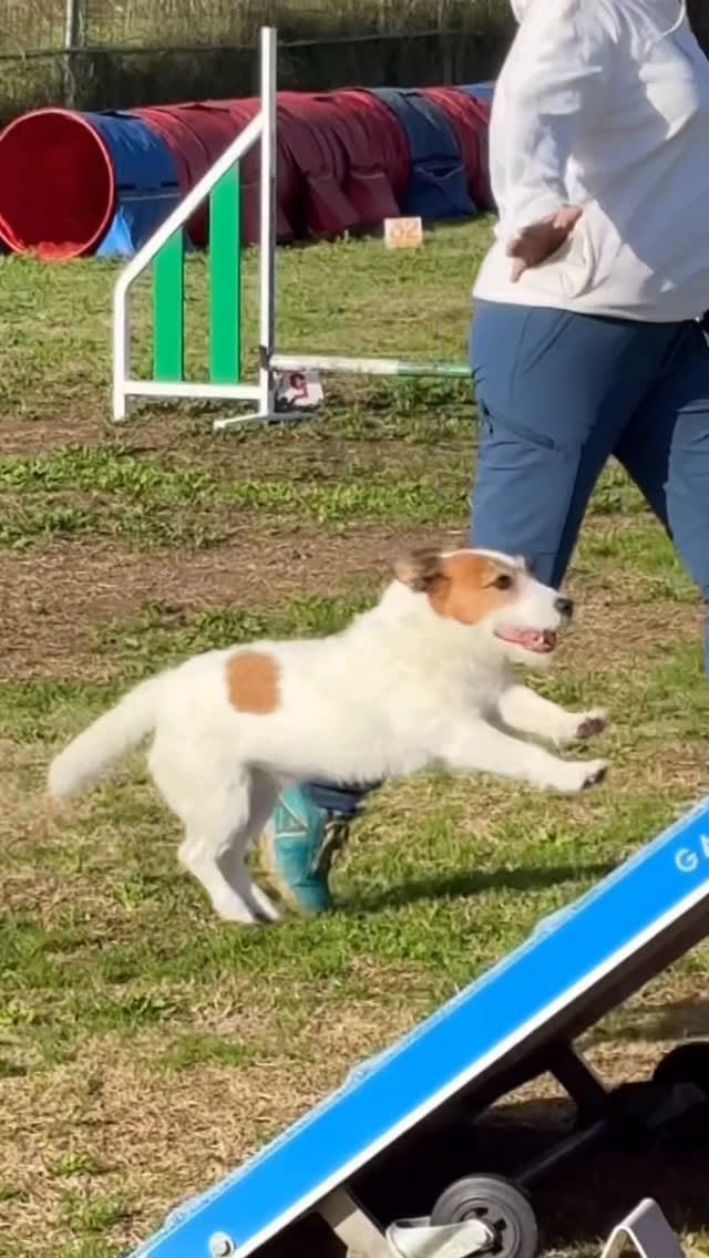 Post 4 by Eddie on Instagram (video)