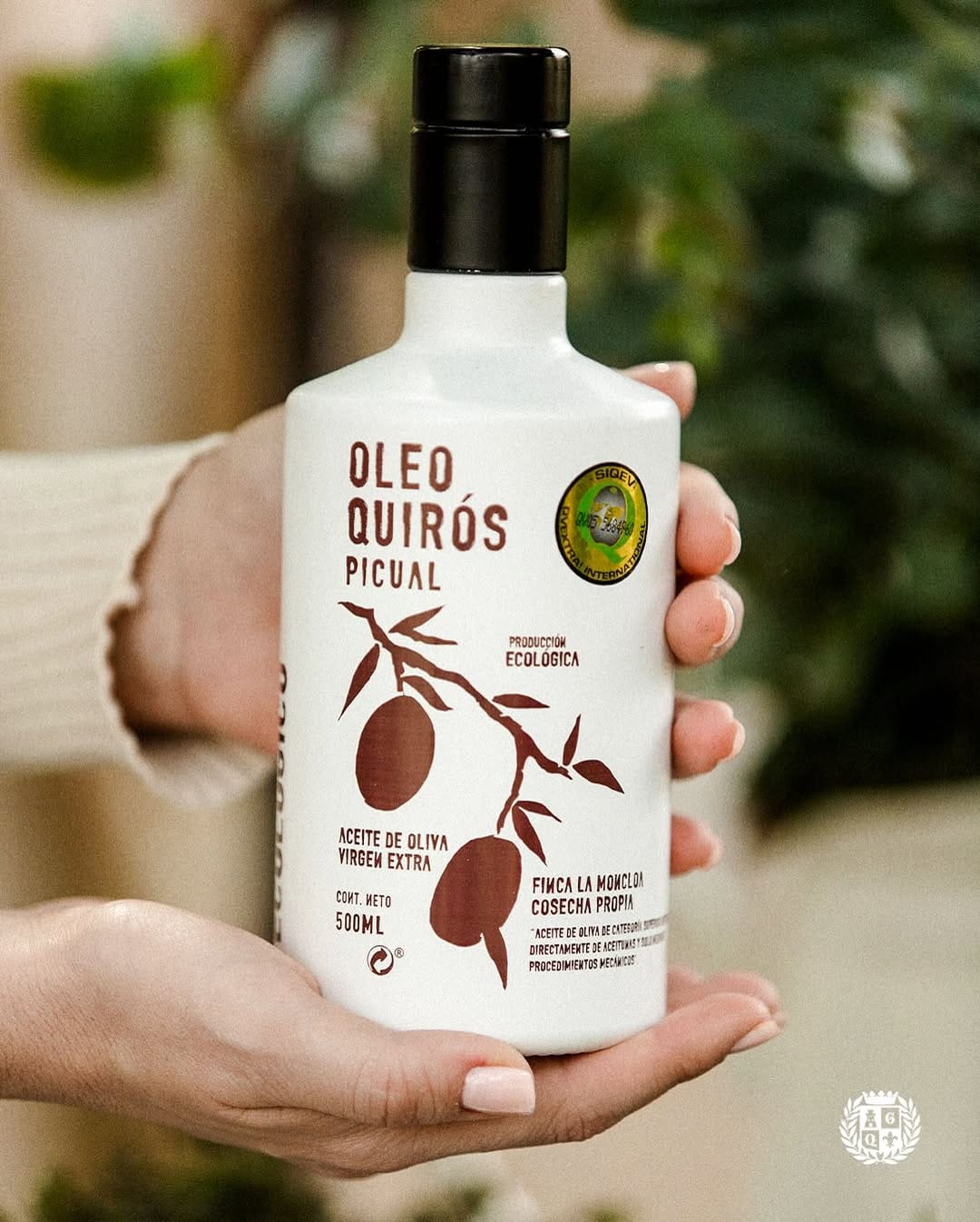 Post 6 by QUIRÓS GOURMET on Instagram (image)