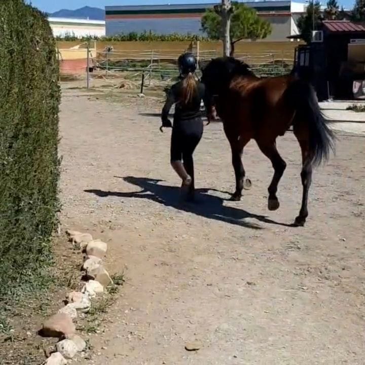 Post 2 by GLORIA SIERRA on Instagram (video)