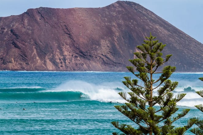 Post 1 by surfmarket.org on Instagram (image)