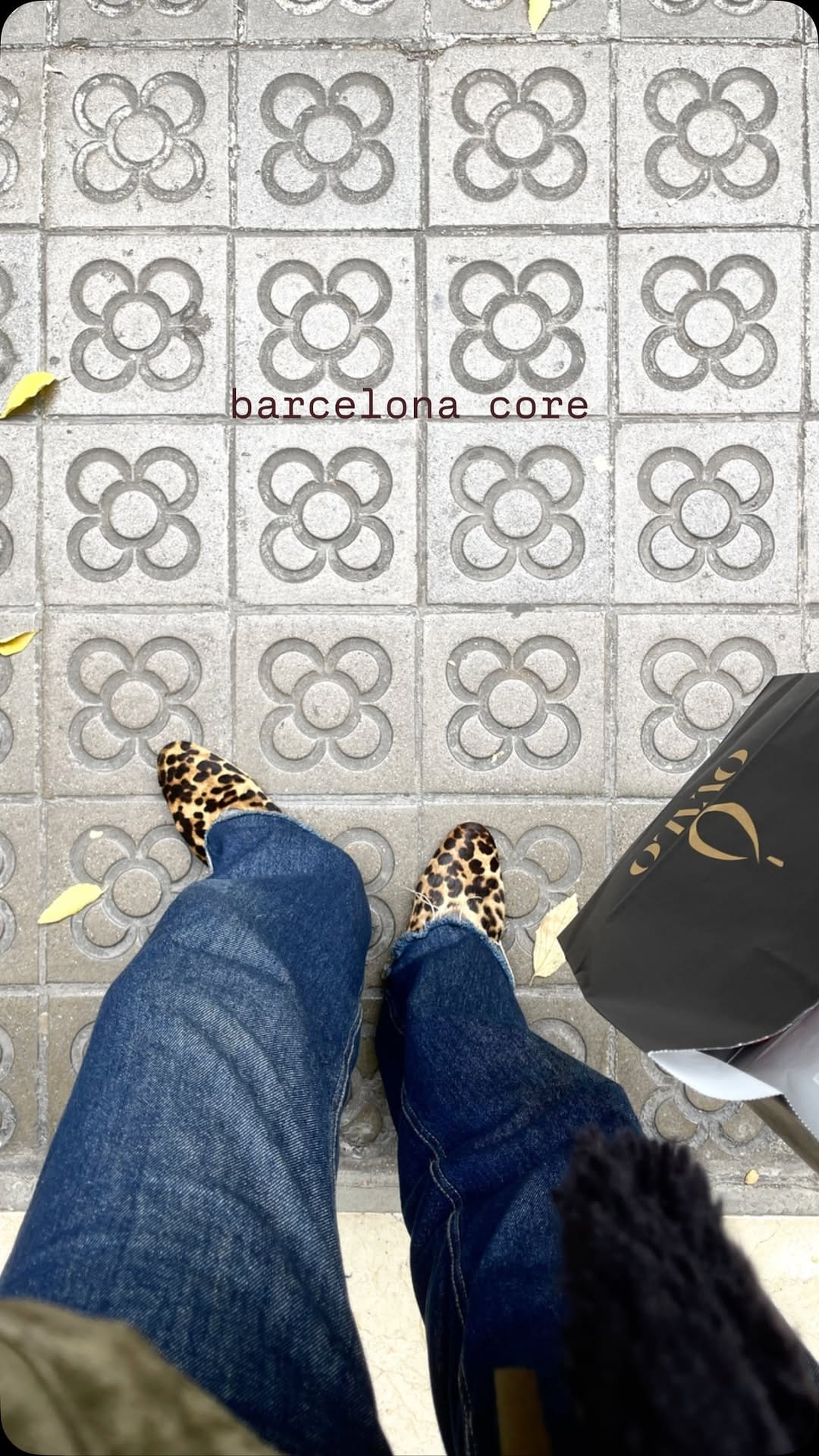 Post 5 by ANZI by TRACY FONTANA on Instagram (video)