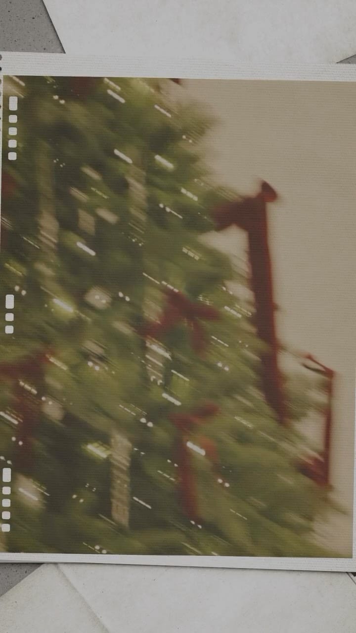 Post 9 by PALOMA BARCELÓ on Instagram (video)