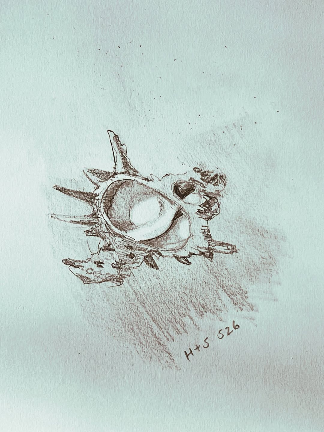 Post 4 by Hide + Stone on Instagram (image)