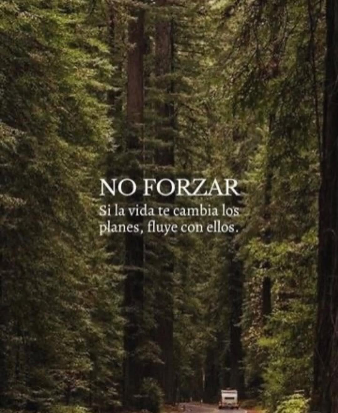 Post 2 by Ropa y complementos on Instagram (image)