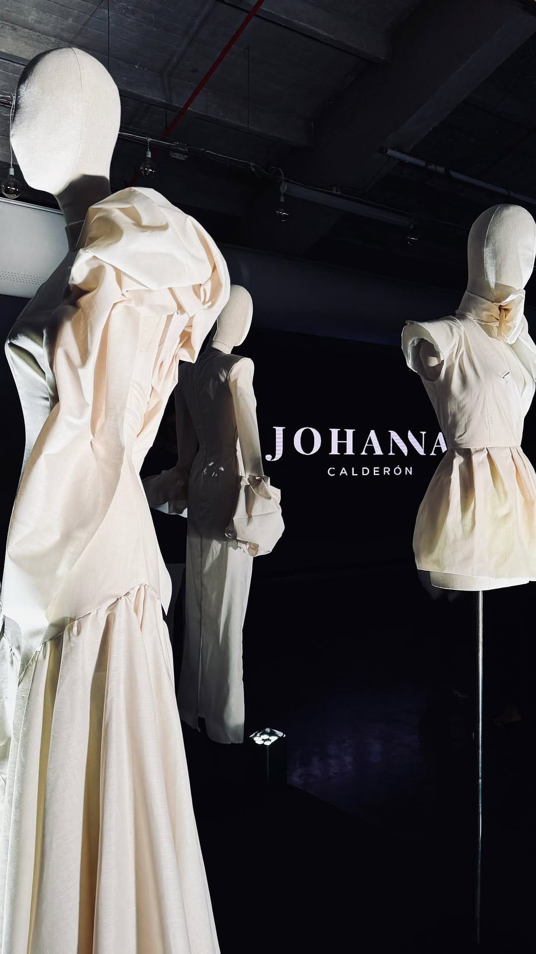 Post 8 by JOHANNA CALDERÓN on Instagram (video)