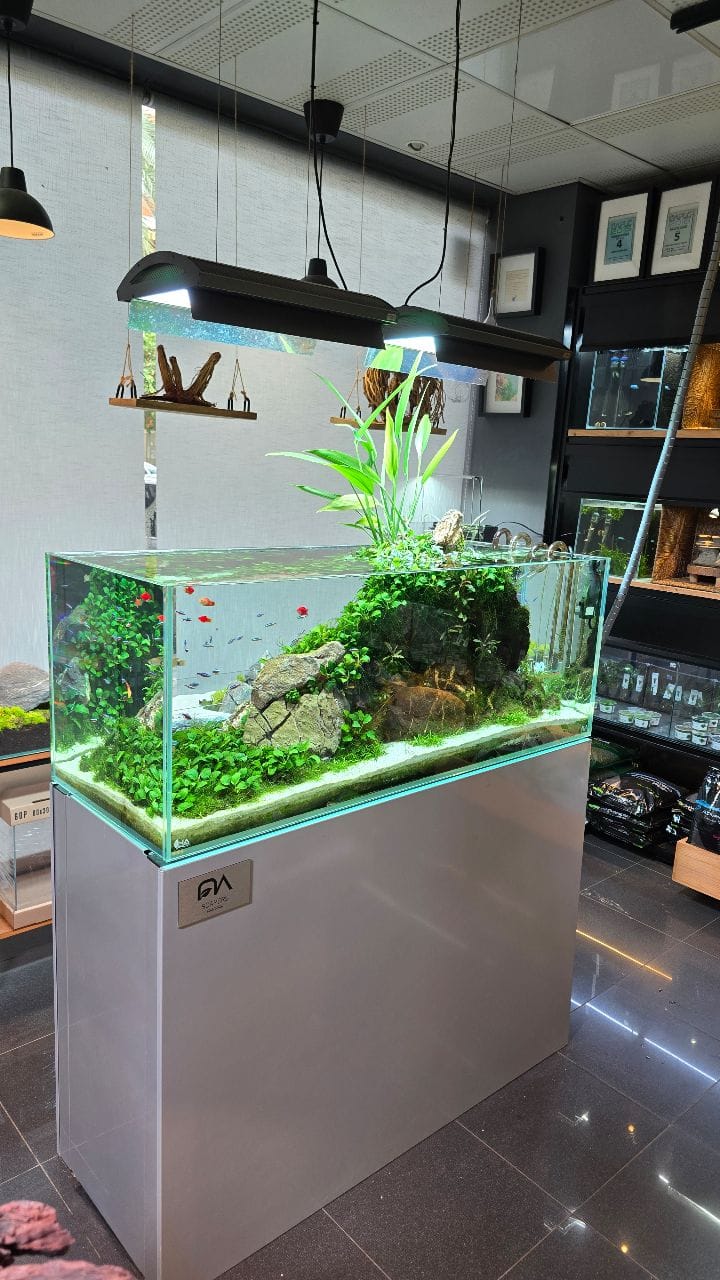 Post 3 by NASCAPERS | Aquascaping on Instagram (video)