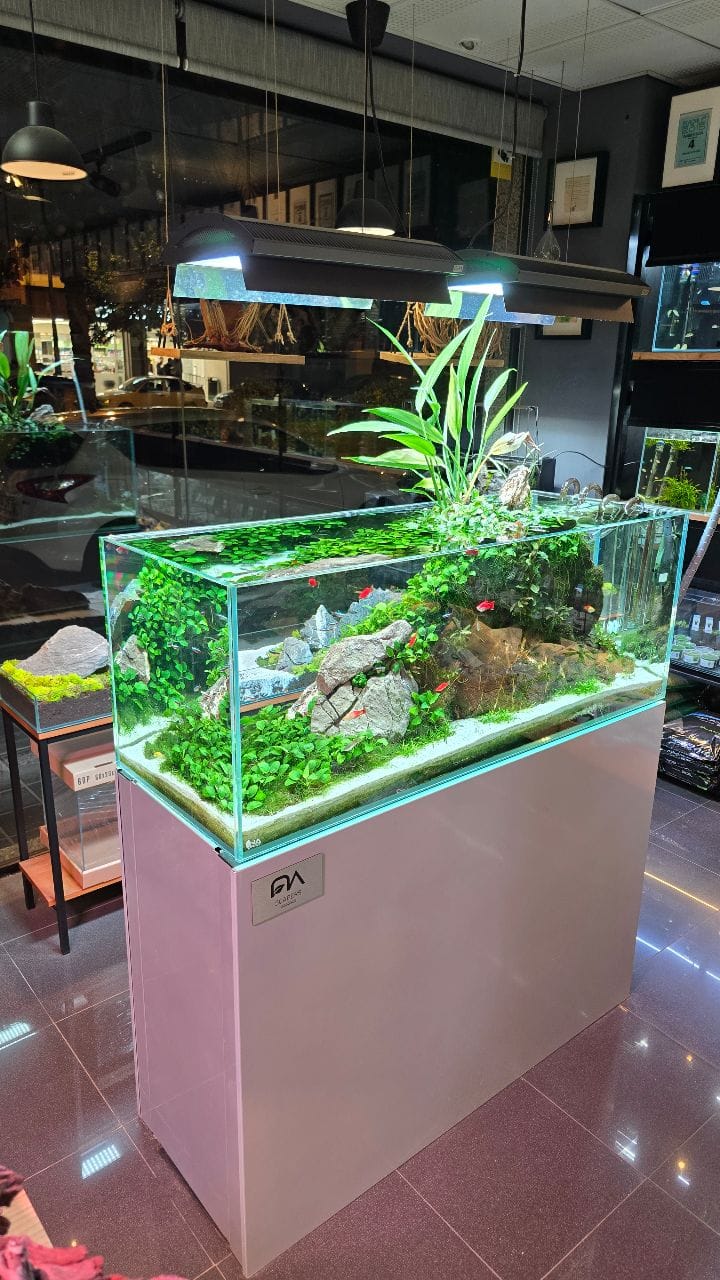 Post 7 by NASCAPERS | Aquascaping on Instagram (video)