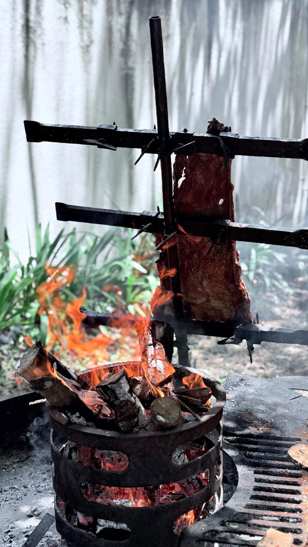 Post 6 by Puesto de Campo on Instagram (video)