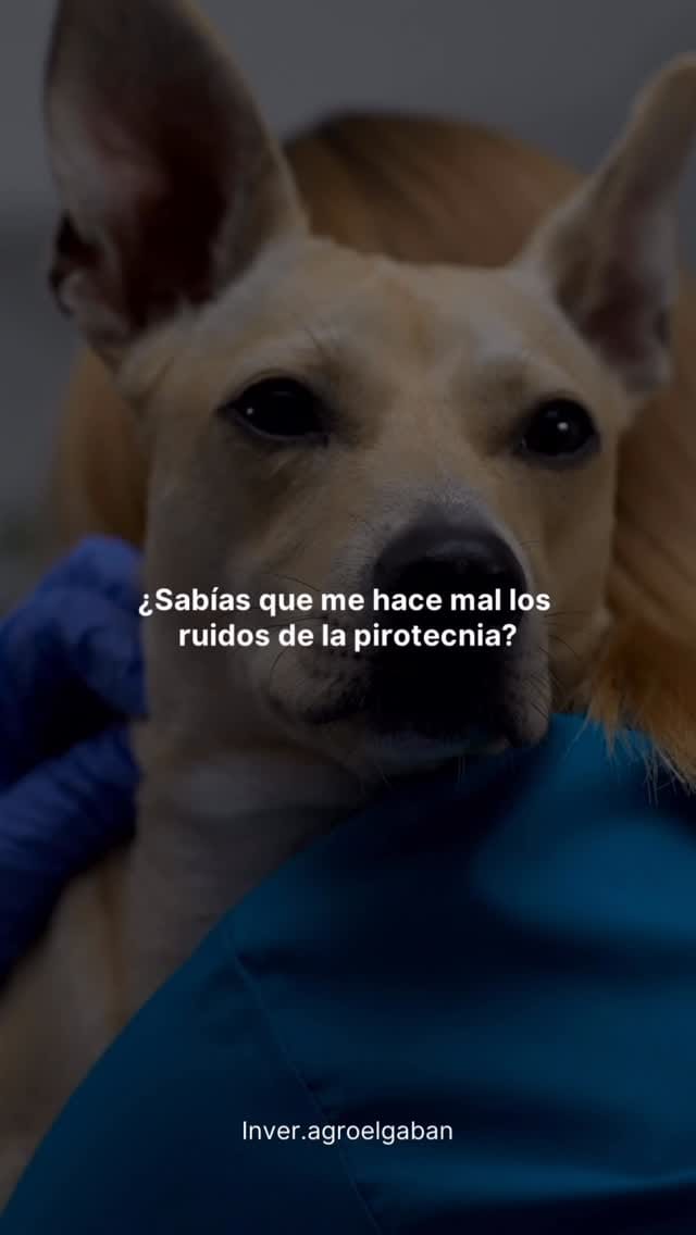 Post 6 by AGROPECUARIA EL GABAN🇻🇪❤️ on Instagram (video)