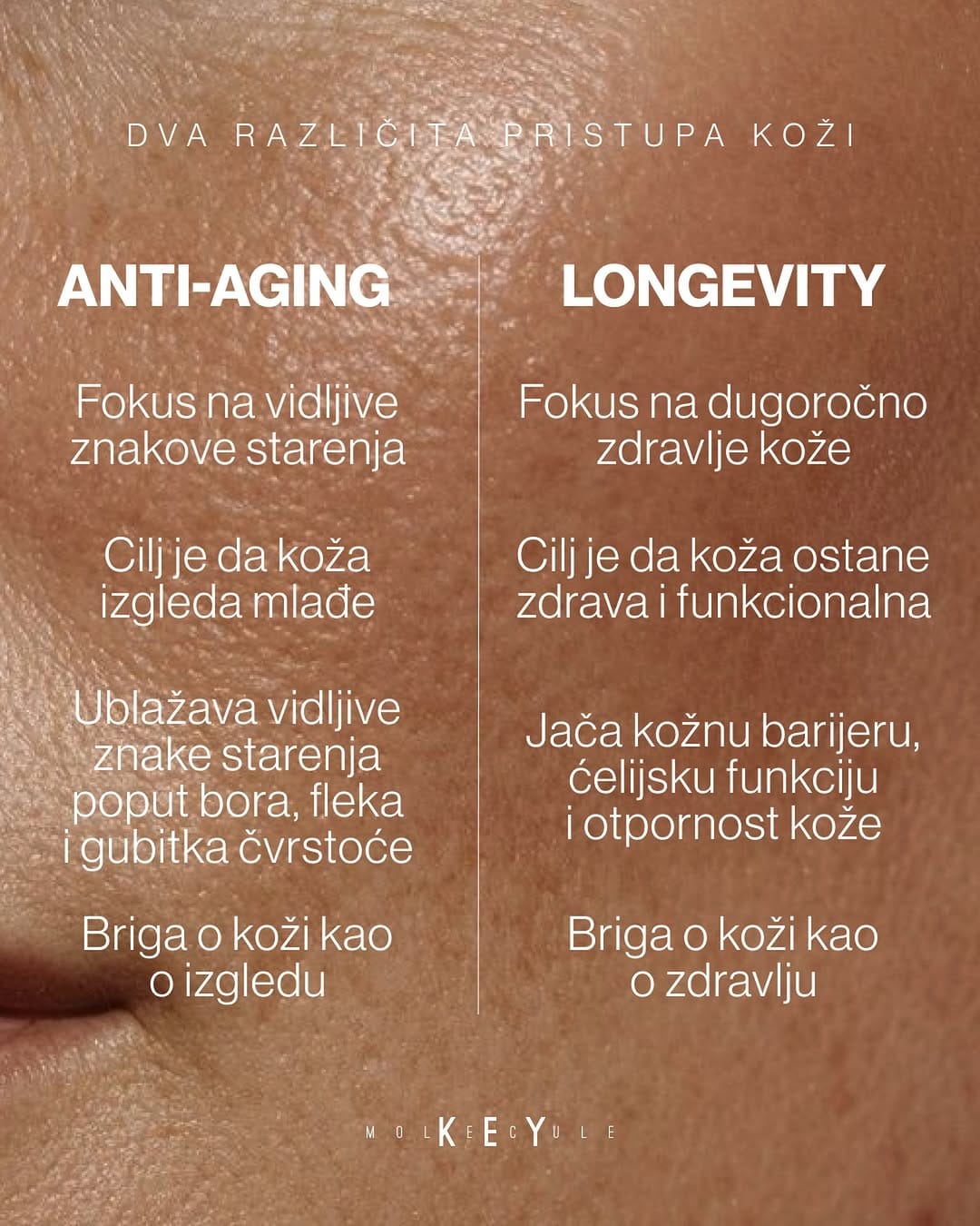 Post 7 by Key Molecule on Instagram (image)