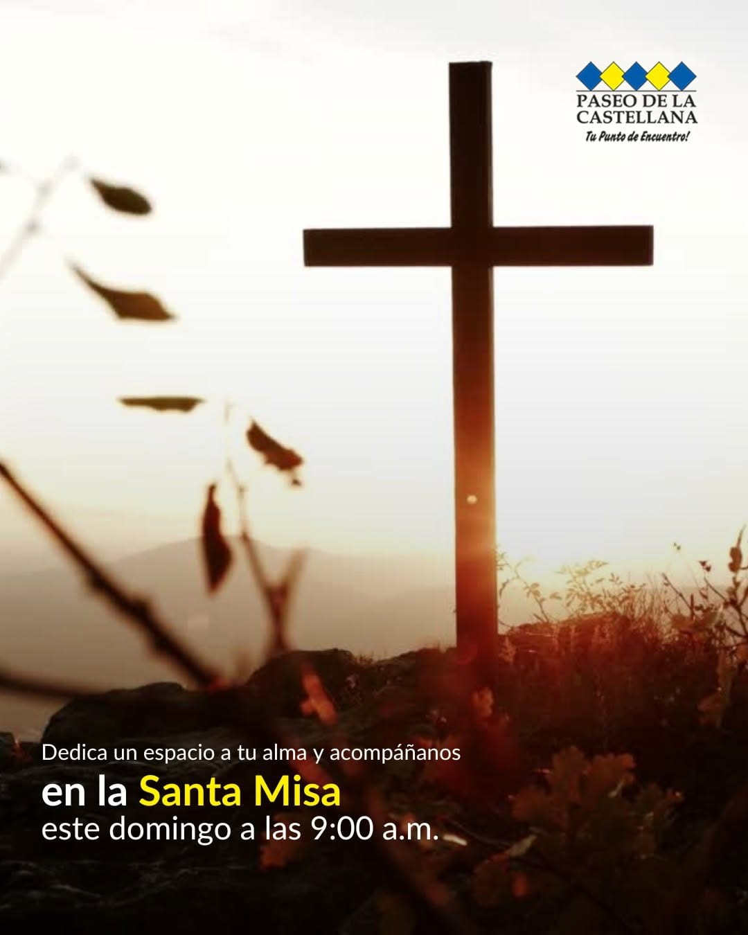 Post 6 by CC Paseo de la Castellana on Instagram (image)