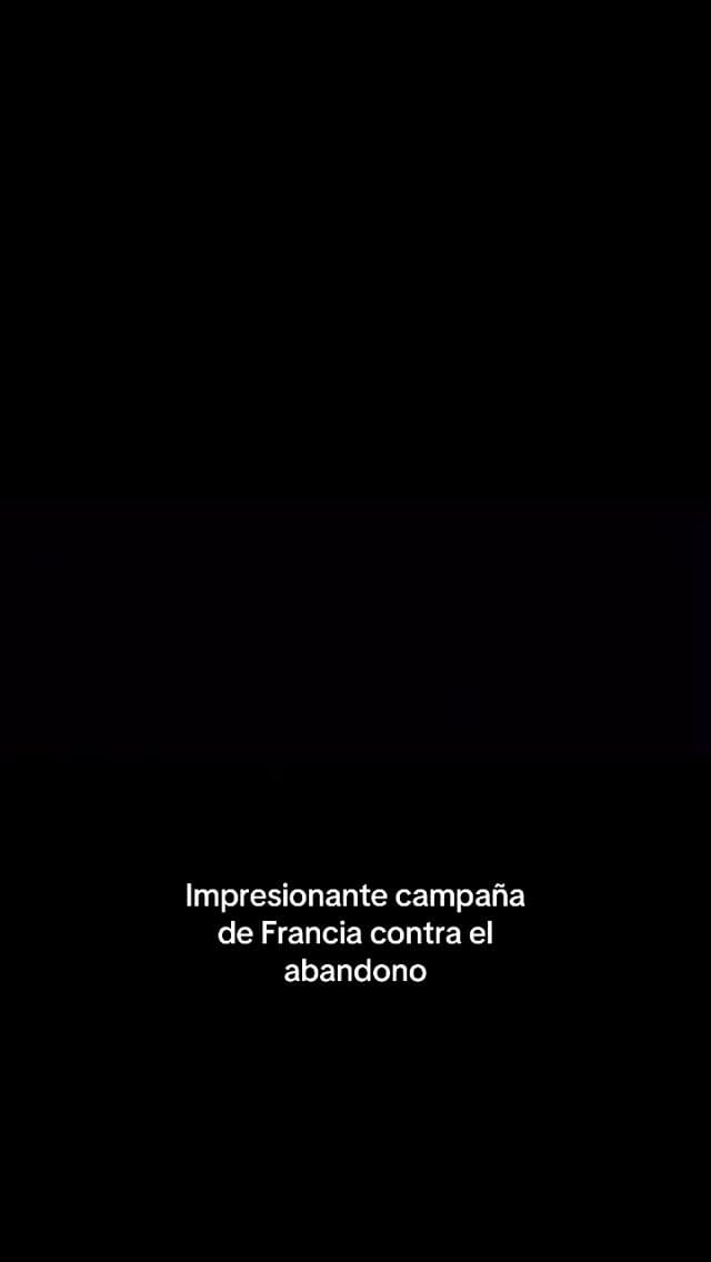 Post 6 by TEO 🌭 on Instagram (video)