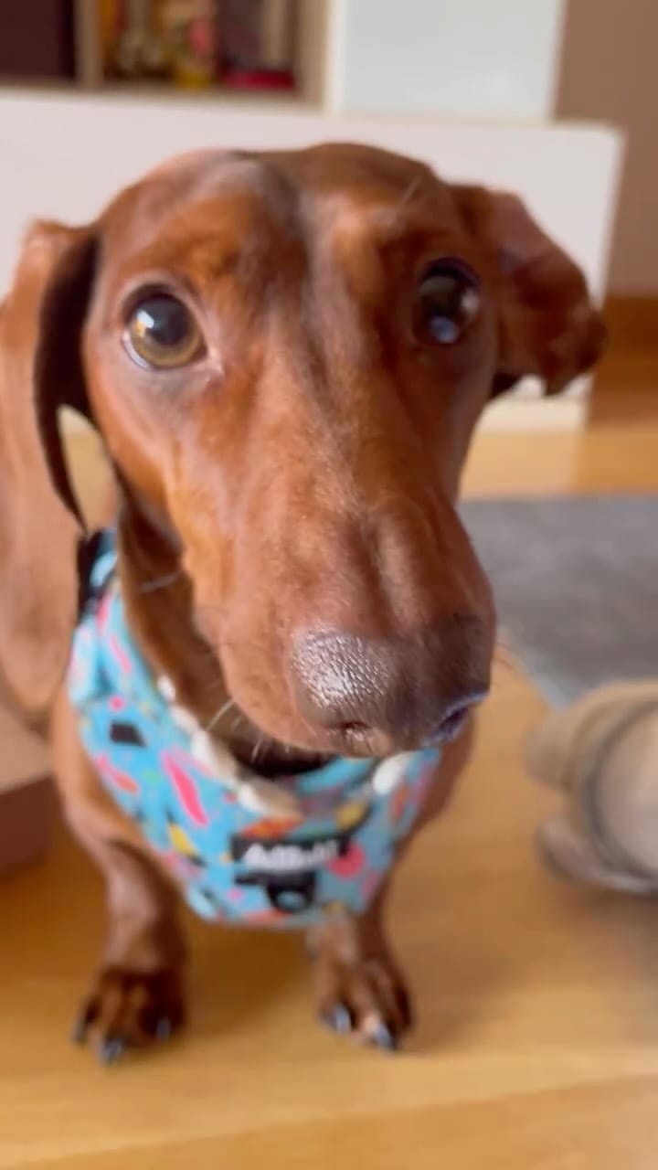 Post 8 by TEO 🌭 on Instagram (video)