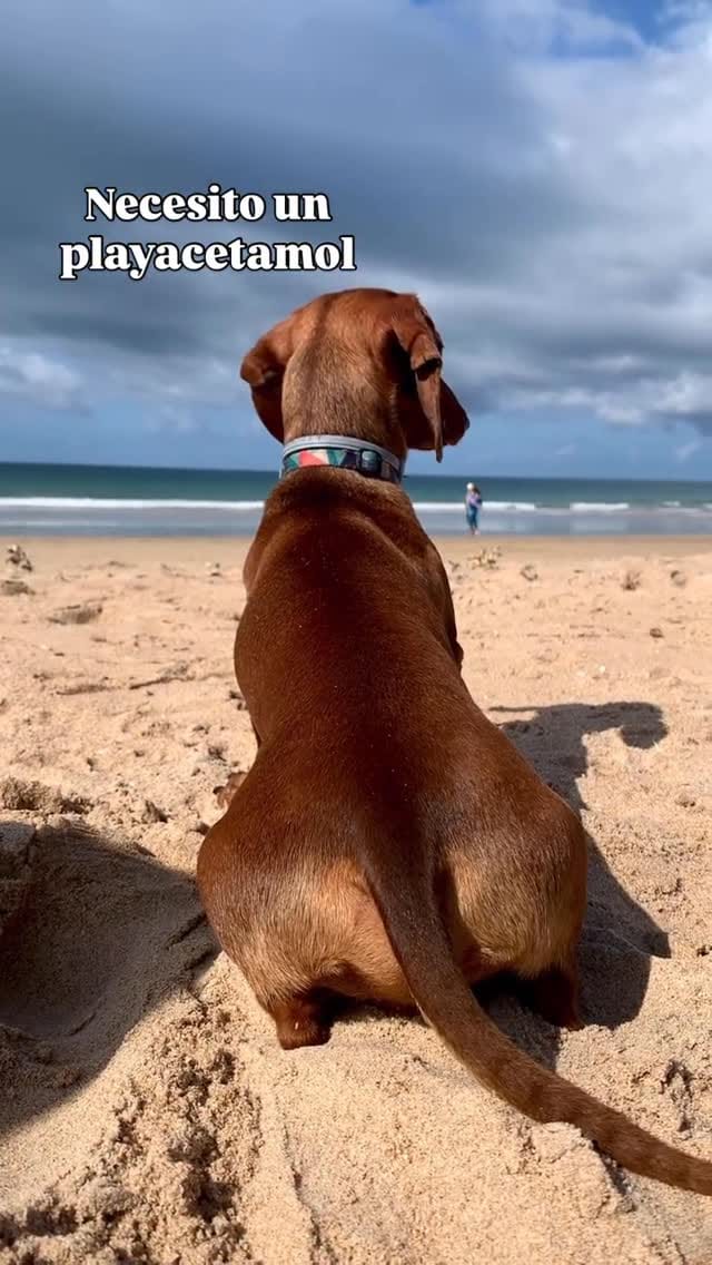 Post 2 by TEO 🌭 on Instagram (video)