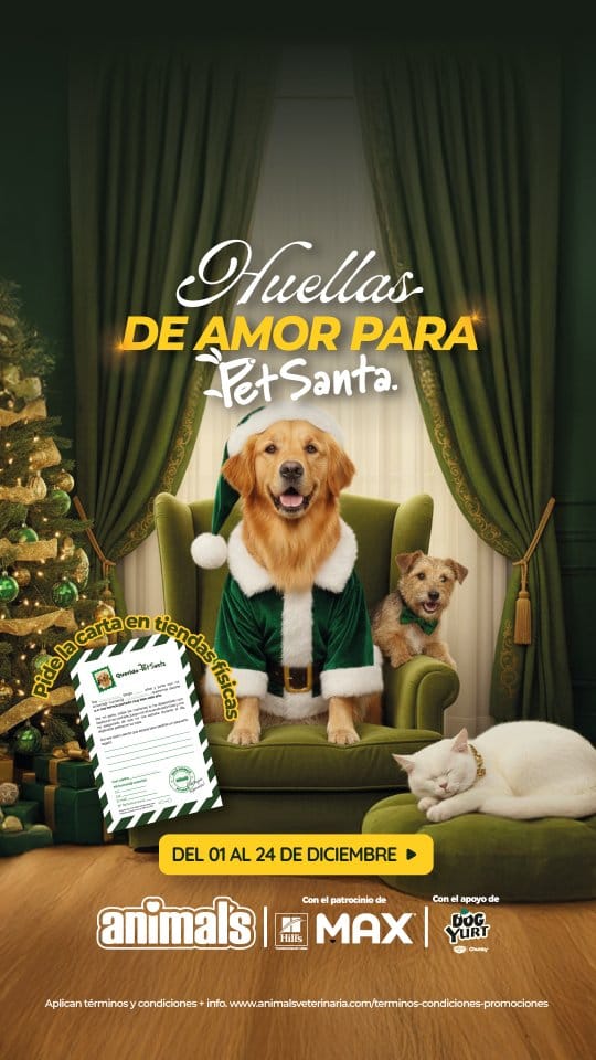 Post 10 by Animals ®️🇨🇴| Todo para tu Mascota on Instagram (video)