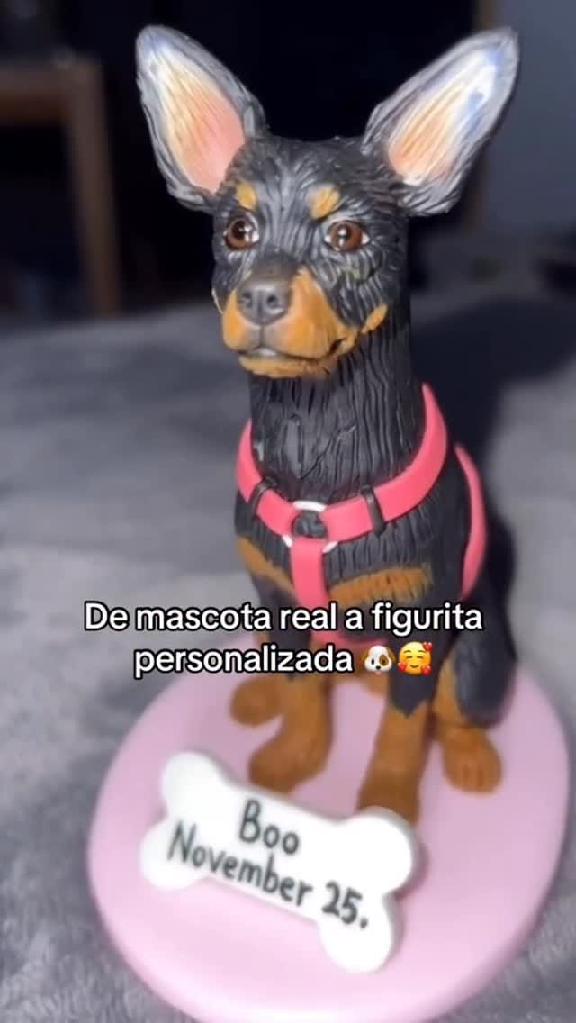 Post 3 by 𝒜𝓃𝒾𝓉𝒶 🩷 on Instagram (video)
