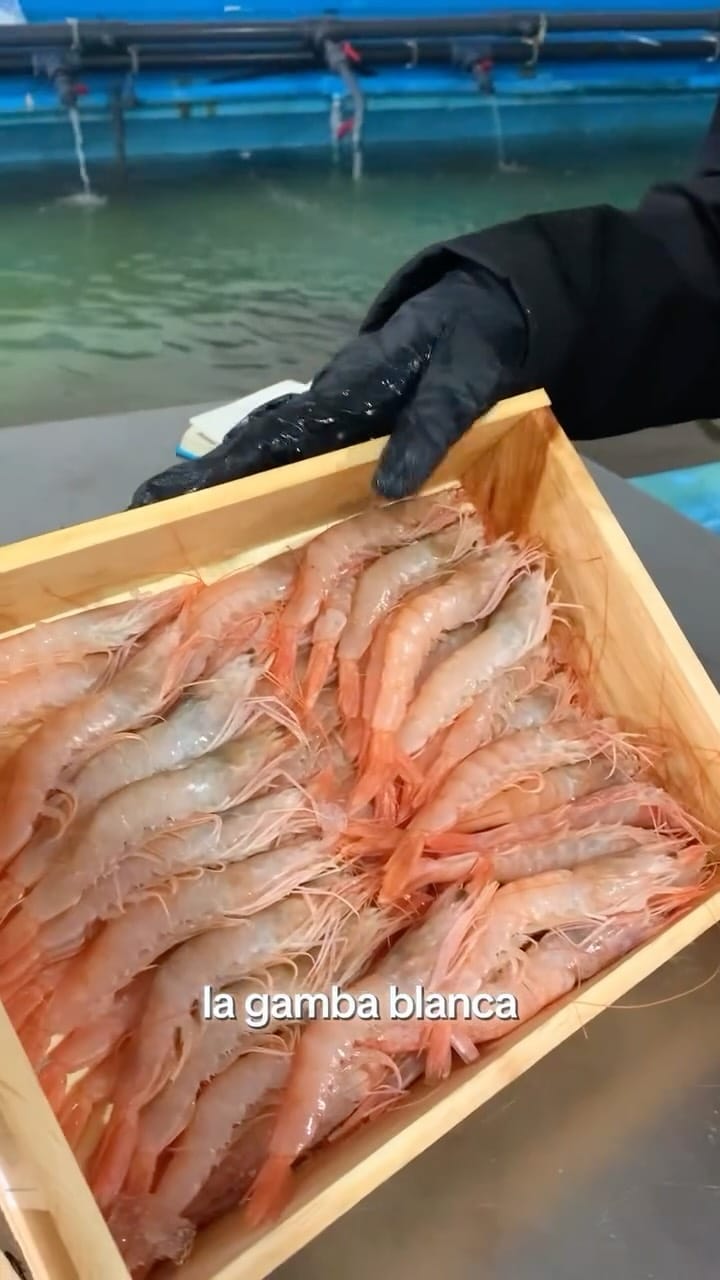 Post 8 by Mariscos Anamar on Instagram (video)