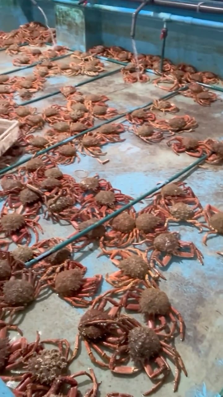 Post 7 by Mariscos Anamar on Instagram (video)