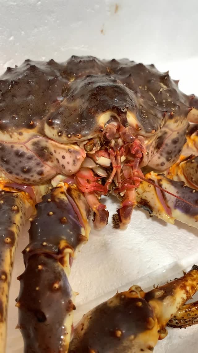 Post 6 by Mariscos Anamar on Instagram (video)