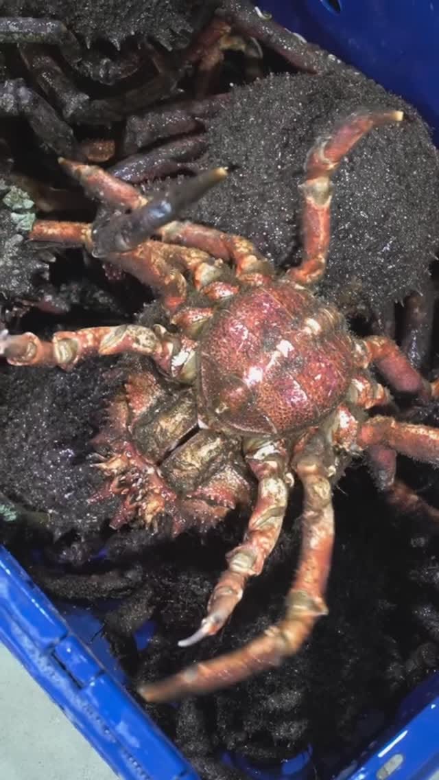 Post 5 by Mariscos Anamar on Instagram (video)