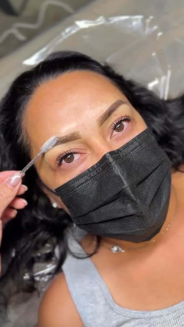 Post 6 by NORCAL Brow & PMU Artist | Lamination + Ombre | Roseville CA on Instagram (video)