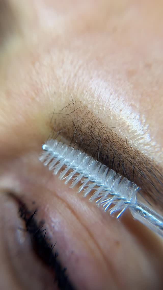 Post 7 by NORCAL Brow & PMU Artist | Lamination + Ombre | Roseville CA on Instagram (video)