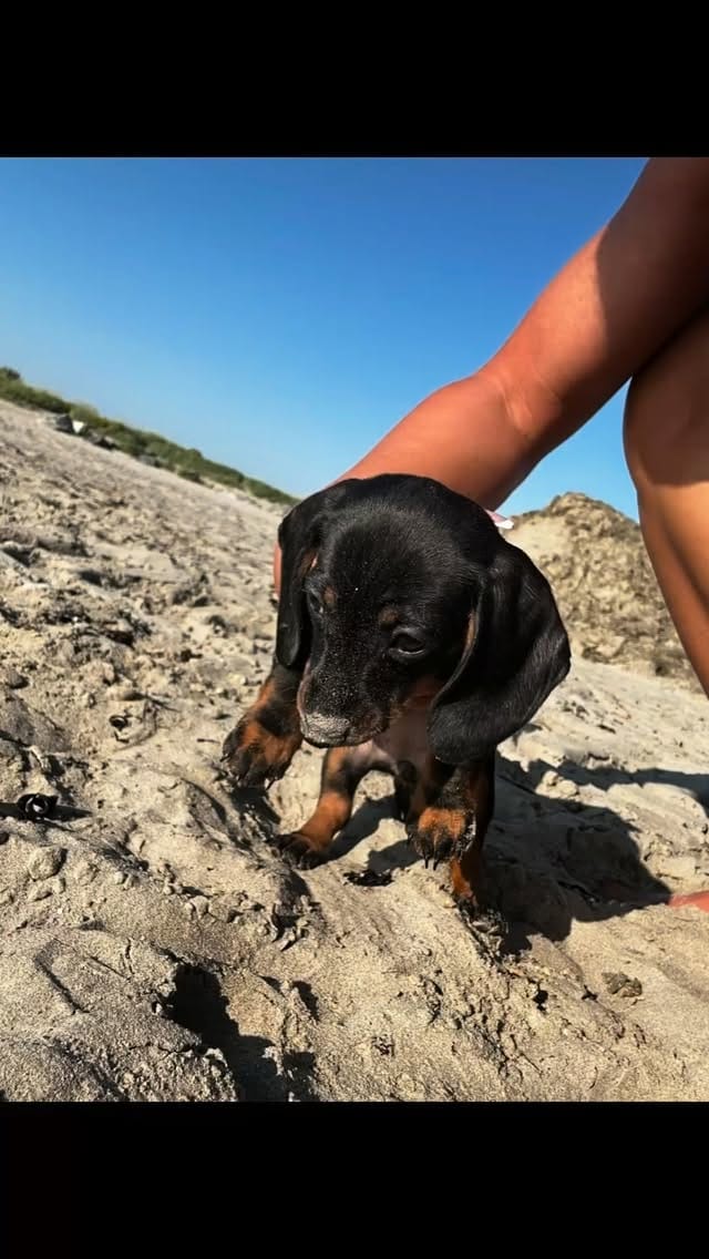 Post 1 by Fionnúla McHale on Instagram (video)