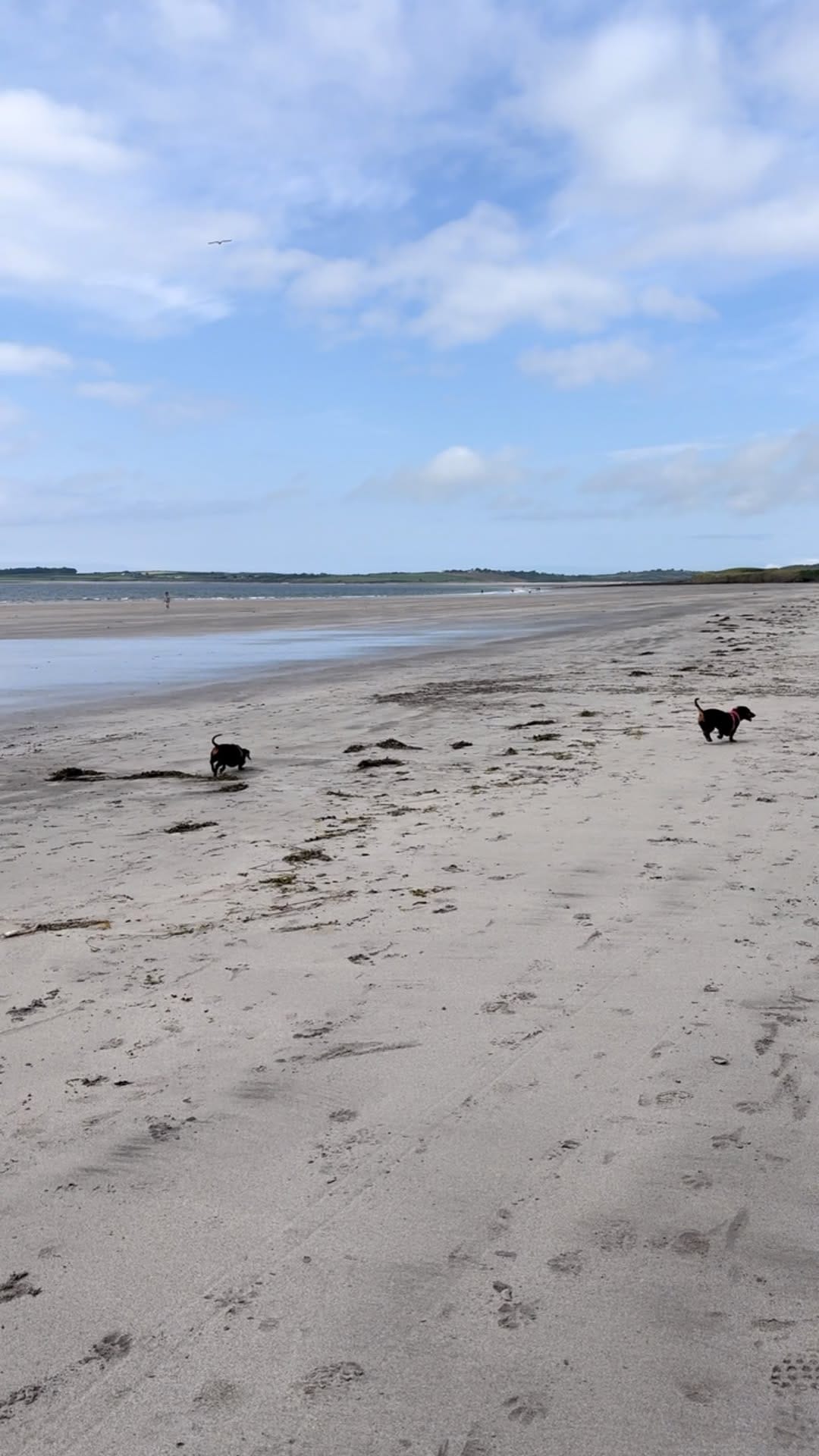 Post 9 by Fionnúla McHale on Instagram (video)