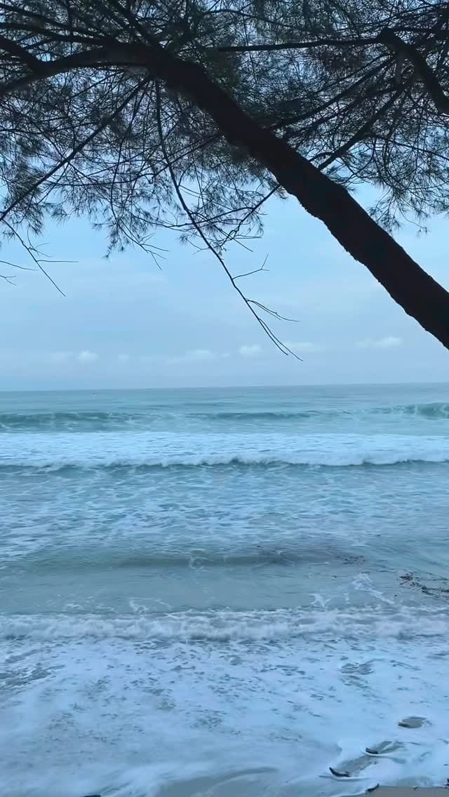 Post 2 by 𐙚𝙽𝚘𝚟𝚑𝚎𝚠𝚗 ૮꒰ ྀི >⸝⸝⸝< ྀི꒱ა on Instagram (video)