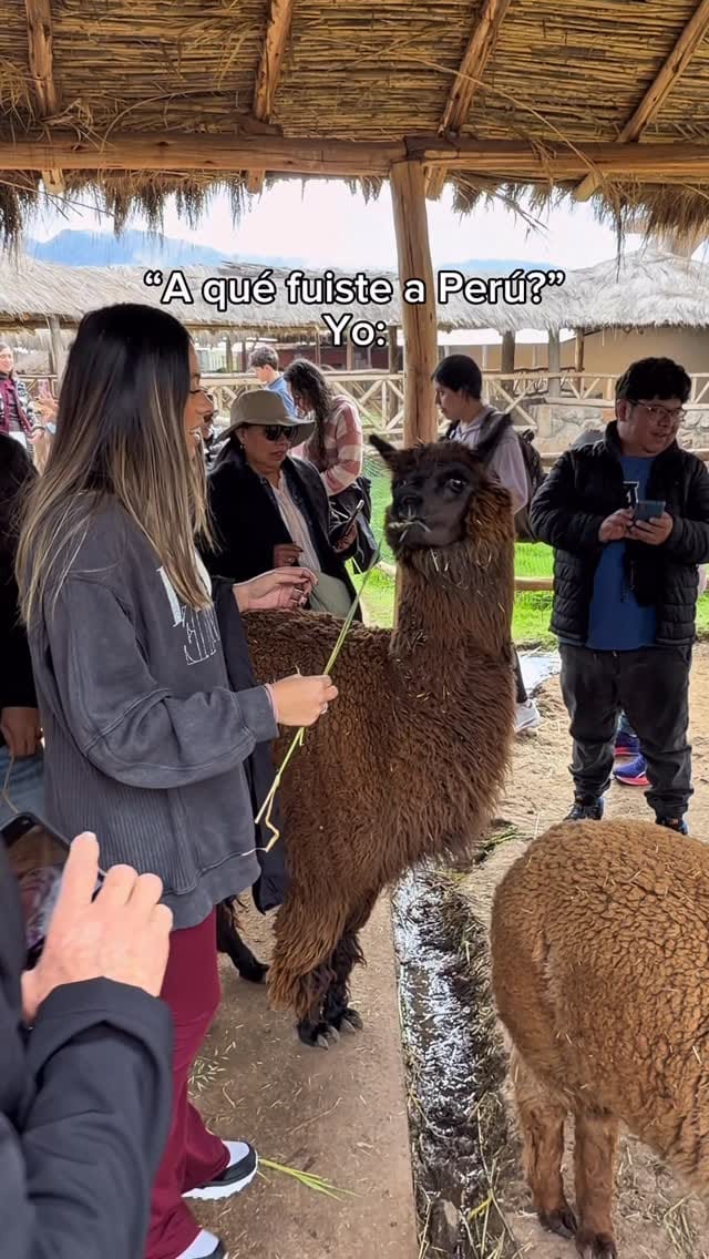 Post 6 by 𝓘𝓼𝓪𝓫𝓮𝓵 𝓒𝓱𝓮𝔃 on Instagram (video)