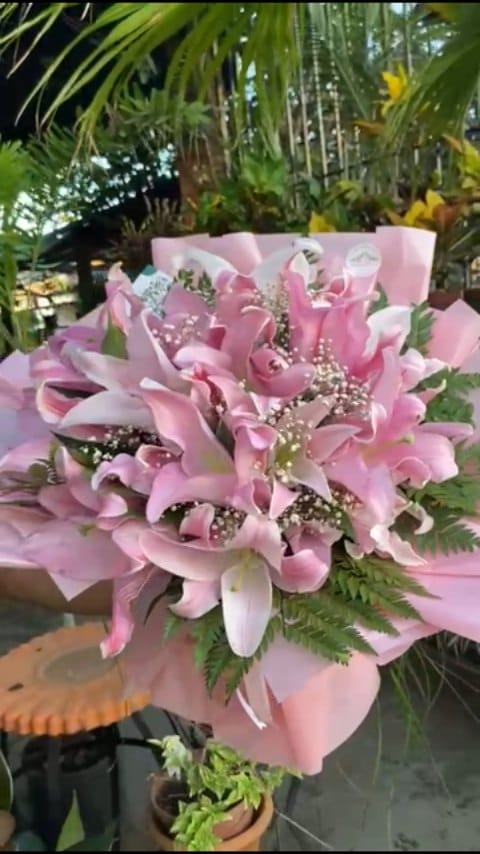 Post 7 by Floricultura Cabana das Flores on Instagram (video)