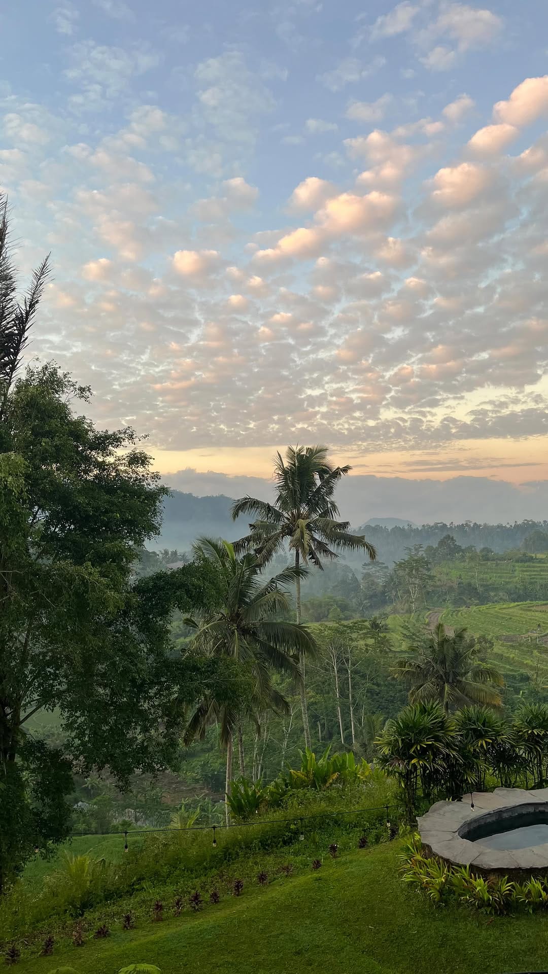 Post 3 by Adalia Furnier Garre on Instagram (video)