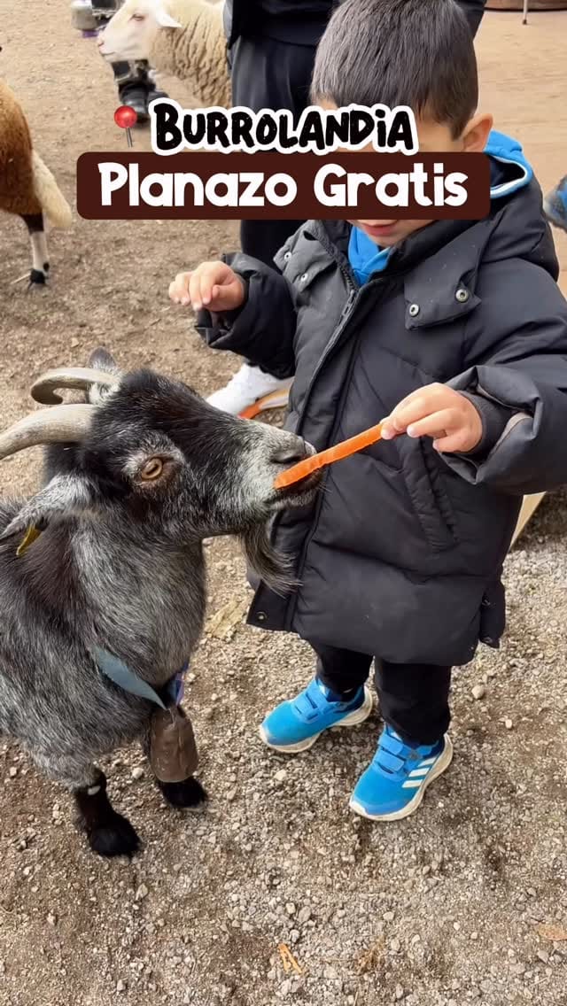 Post 3 by Valeria Viacava | Madrid 📍 on Instagram (video)