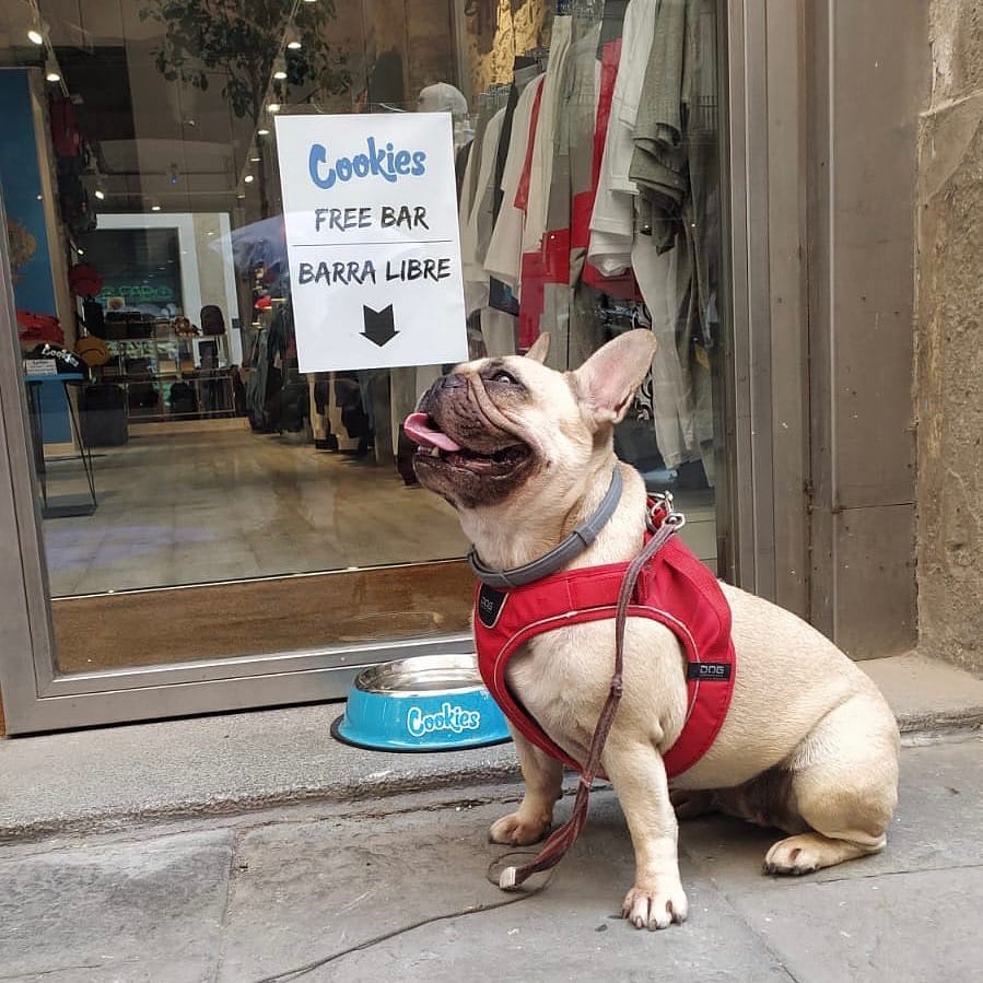Post 1 by Cookies Clothing Barcelona on Instagram (carousel)