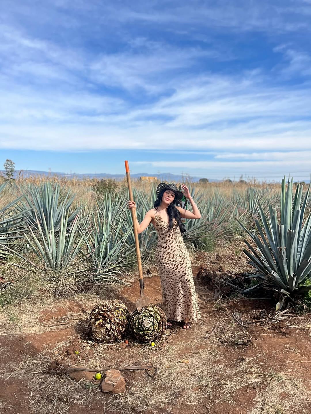 Post 5 by Paola Hernández 🍒 on Instagram (carousel)