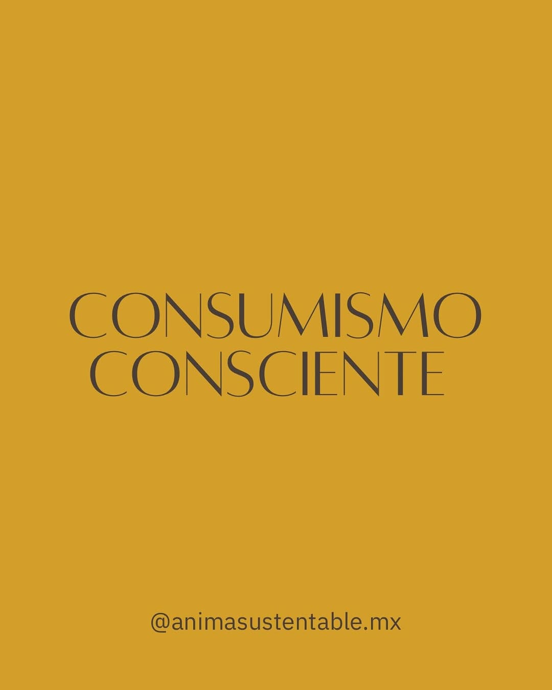 Post 5 by Ánima on Instagram (image)