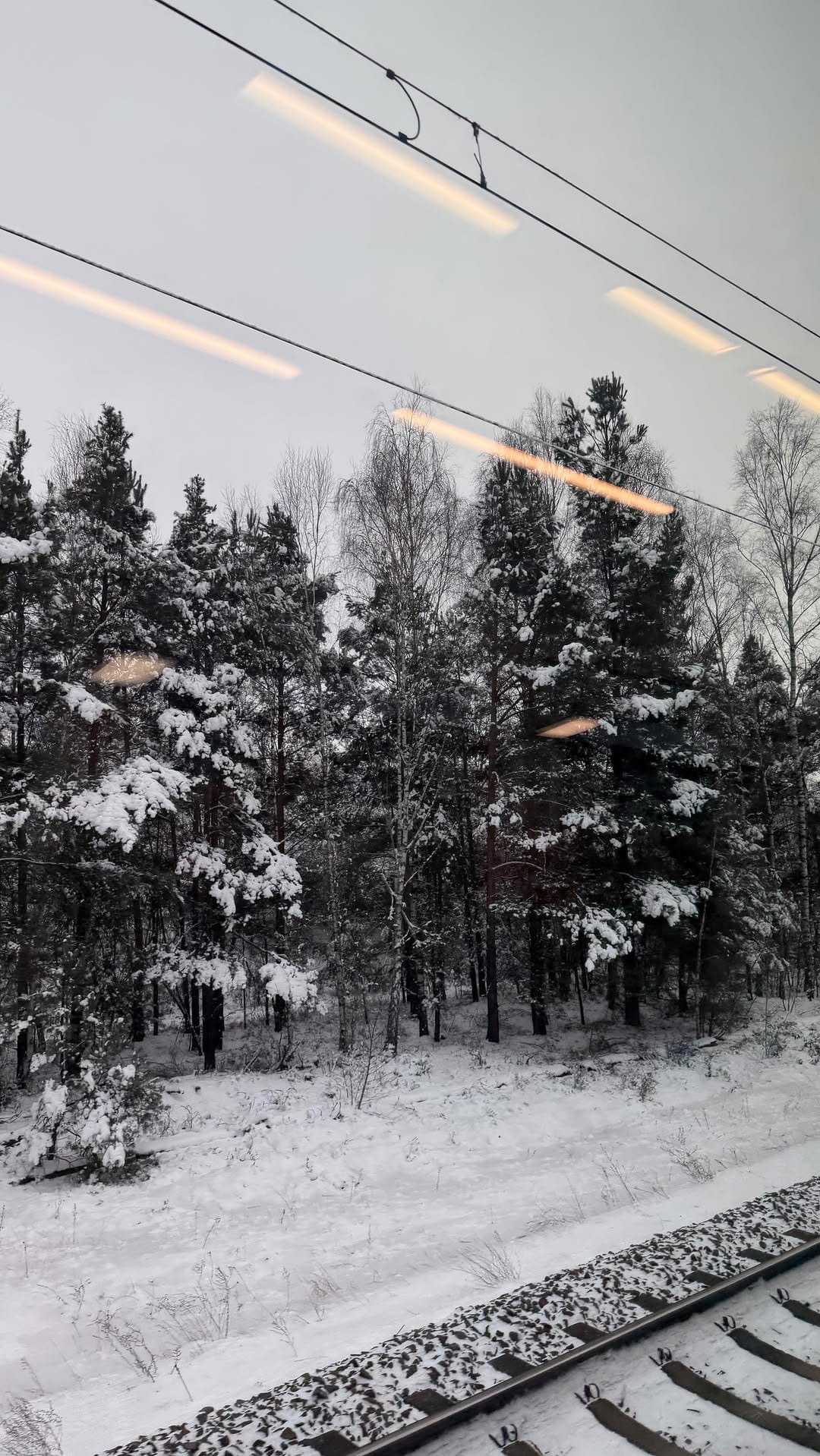 Post 4 by BERENICE PAMPLONA on Instagram (video)