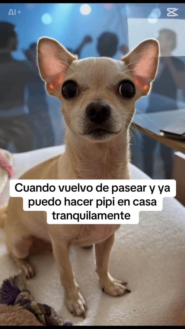 Post 8 by Nuria Gil👑 on Instagram (video)